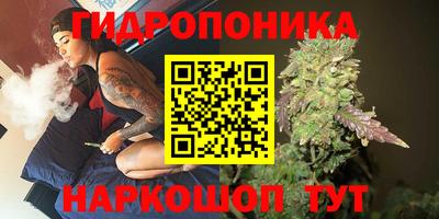 скорость Гусь-Хрустальный