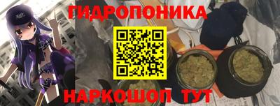 дурь Гусев